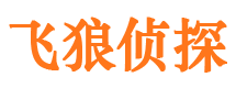 鹤峰外遇调查取证